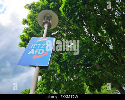 05.05.2024, Deutschland, Brandenburg, Zeuthen - AfD-Wahlplakat zur Europawahl 2024 hängt hoch an einem Laternenpfahl. 00A240505D003CAROEX.JPG [MODUS Stockfoto