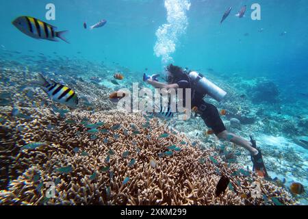 04.11.2023, Indonesien, Lombok, Gili Trawangan - Mann, der beim Tauchen im Meer Fotos macht. 00S231104D226CAROEX.JPG [MODELLVERSION: JA, PROPERTY RELEA Stockfoto