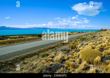 10.03.2024, Argentinien, Patagonien, El Calafate - Straße R11 mit wenig Verkehr zwischen Perito Moreno Gletscher und El Calafate entlang Lago Argentino, t Stockfoto