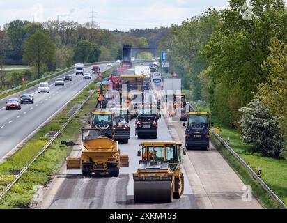 21.04.2024, Deutschland, Nordrhein-Westfalen, Wesel - Straßenbau, Asphaltfertiger und Straßenwalzen legen neuen Asphalt auf der Autobahn A3, MON Stockfoto