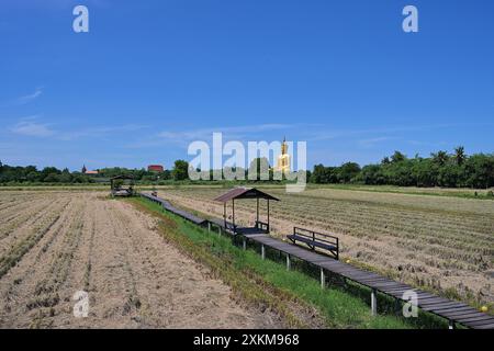 Blick auf Wat Muangs Big Sitzed Buddha (Phra Buddha Maha Nawamina), die höchste Statue Thailands, gegenüber Reisfeldern Stockfoto