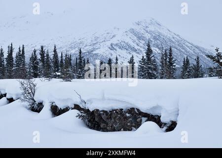 Felsen und Bäume zeigen sich an einem kalten Wintertag in der Nähe der Castner Cave in Alaska durch den Schnee. Stockfoto