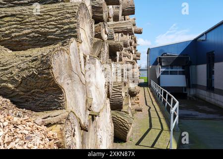 Baumstämme und Holzspäne neben einem Biomassekraftwerk. Die Station nutzt Altholz-Biomasse als Energiequelle und liefert Strom und Wärme Stockfoto