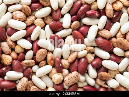 Gemischte Mischung aus roten und weißen und verschiedenfarbigen Bohnensamen mit strukturiertem Hintergrund aus Kichererbsen. Stockfoto