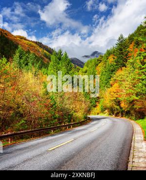 Kurvenreiche Straße zwischen farbenfrohen Herbstwäldern. Malerische Berge im Nebel Stockfoto