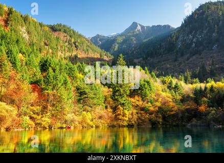 Fantastischer Blick auf bewaldete Berge und farbenfrohen Herbstwald Stockfoto