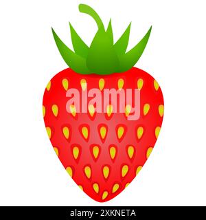 Rote reife Erdbeere, isoliert auf weißem Hintergrund. Stock Vektor