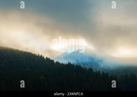Sonnenaufgang über einer nebeligen Waldlandschaft mit einem atemberaubenden Blick auf nebelbedeckte Hügel. Stockfoto