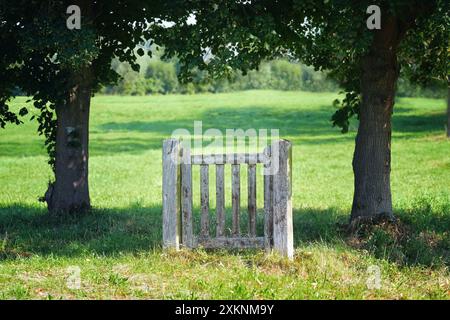 Einzelnes geschlossenes Tor aus verwittertem Holz, das allein zwischen zwei dunklen Bäumen auf einer grünen Wiese steht, Konzept für die Möglichkeit, einen Weg durch oder einen zu finden Stockfoto