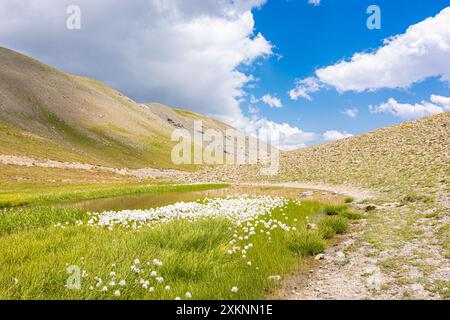 Panoramablick auf die französischen Alpen im Nationalpark Mercantour in Südfrankreich vor dramatischem Himmel Stockfoto