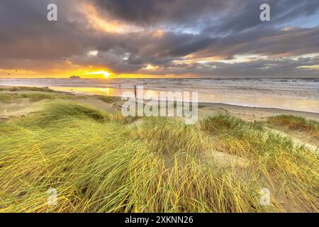 Dünenlandschaft unter bewölktem Herbsthimmel. Dunkle Wolken, die über der untergehenden Sonne wehen. Wijk aan Zee, Nordholland. Niederlande. Meereslandschaft der Natur Stockfoto