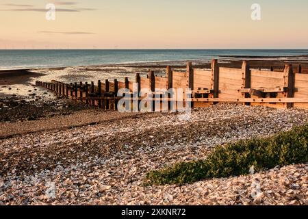 Groyne an einem Strand in Whitstable, Kent an der Themsmündung bei Sonnenuntergang Stockfoto