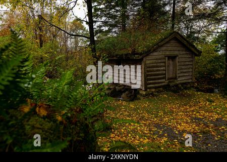 Eine gemütliche Blockhütte im Herzen einer bewaldeten Gegend Stockfoto