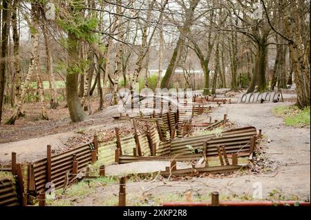 Der erste Weltkrieg verbündete Gräben und Grabstätten in Sanctuary Wood, Flandern, Ypern, Belgien. Stockfoto