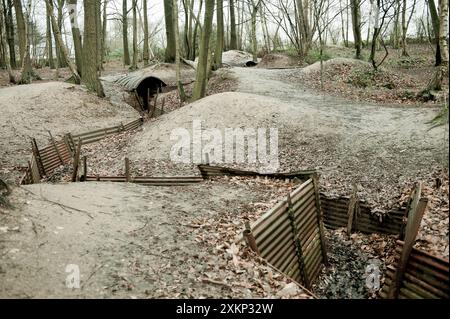Der erste Weltkrieg verbündete Gräben und Grabstätten in Sanctuary Wood, Flandern, Ypern, Belgien. Stockfoto