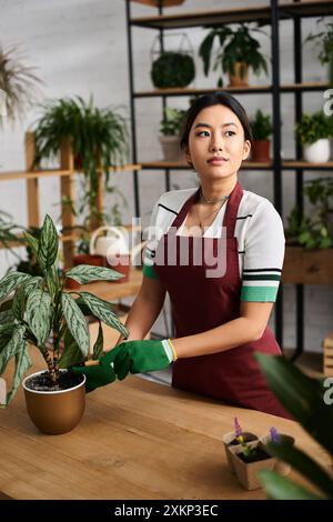 Eine asiatische Frau in einer Schürze pflegt eine Topfpflanze in ihrer Werkstatt. Stockfoto