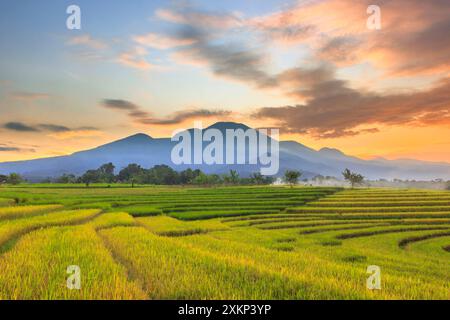 Die Schönheit des Morgens im Dorfgebiet mit vergilbten Reisfeldern unter der Berglinie bei Sonnenaufgang und dem schönen Himmel am Morgen Stockfoto