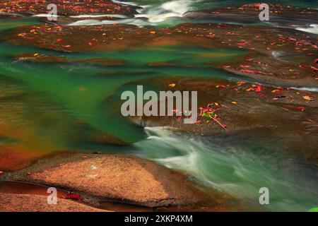 Wasser fließt zwischen grünen Steinen Stockfoto