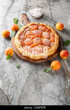 Süße Aprikosen und Mandel hausgemachte Kuchen Galette an Bord Nahaufnahme auf dem Tisch. Vertikal Stockfoto