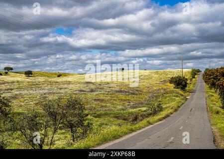 Wunderschöne Landschaft mit Wildblumenwiesen, Flüssen und Wasserfällen im Parque Natural do Vale do Guadiana, in der Nähe von Mertola, Portugal, Alentejo Stockfoto