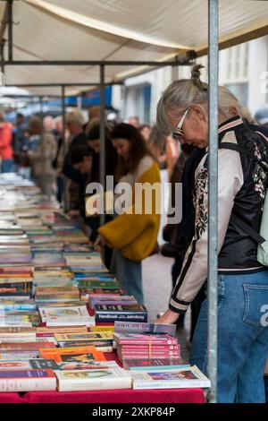 Dordrecht, Niederlande - 7. Juli 2024: Besucher entdecken auf dem jährlich stattfindenden Buchmarkt in Dordrecht, 350 Stände im gesamten Stadtzentrum Stockfoto