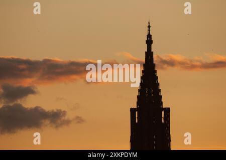 Baukran - Straßburg cathédrale Stockfoto