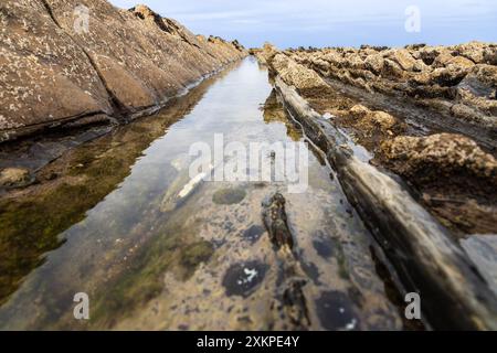 Zurückziehende erodierte Felsen und ruhiges, glattes Meerwasser zwischen ihnen. Sakoneta Flysch, Deba, Gipuzkoa, Baskenland, Spanien. Stockfoto