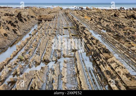 Eine Reihe von Felsformationen durchsetzt mit Meerwasser und dem Atlantischen Ozean im Hintergrund. Sakoneta Flysch, Deba, Gipuzkoa, Baskenland, Spanien. Stockfoto