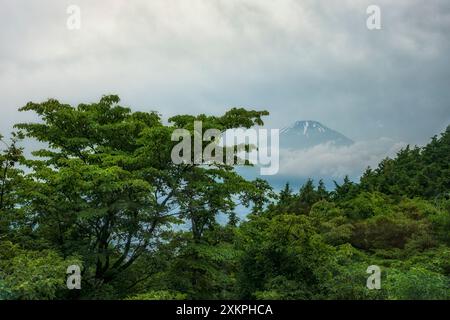 Der Fuji, der hier an einem bewölkten Tag aus der Entfernung mit umliegendem grünem Laub zu sehen ist, ist ein aktiver Stratovulkan auf der japanischen Insel o Stockfoto