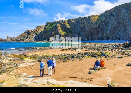 Besucher bewundern die dramatischen gefalteten Felsschichten aus Lehmsteinen und Sandsteinen am Hartland Quay auf dem SW Coast Footpath in Devon, England, Großbritannien Stockfoto