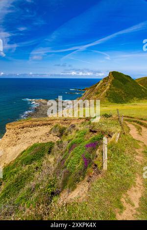 St. Catherine's Tor in der Nähe des Hartland Quay am SW Coast Path, Devon, England, Großbritannien Stockfoto