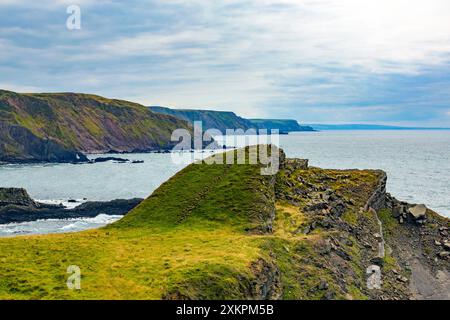 Vom Screda Point aus auf dem SW Coast Path in südlicher Richtung an der dramatischen Küste in der Nähe von Hartland Quay, Devon, England, Großbritannien Stockfoto