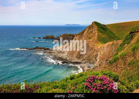 St Catherine's Tor, mit Lundy Island dahinter, in der Nähe des Hartland Quay am SW Coast Path, Devon, England, Großbritannien Stockfoto