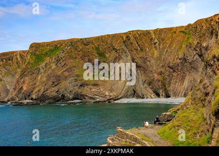 Die dramatischen, gefalteten Gesteinsschichten aus Lehmsteinen und Sandsteinen am Hartland Quay auf dem SW Coast Footpath in Devon, England, Großbritannien Stockfoto