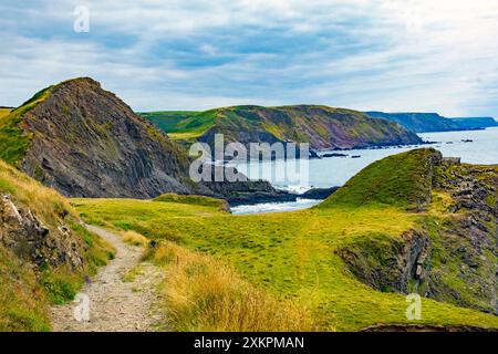 Vom Screda Point aus auf dem SW Coast Path in südlicher Richtung an der dramatischen Küste in der Nähe von Hartland Quay, Devon, England, Großbritannien Stockfoto