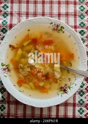 Hausgemachte Hühnersuppe in einer floralen Keramikschale auf einer karierten Tischdecke. Rumänisches Essen von ungarischen Ethnien. Stockfoto