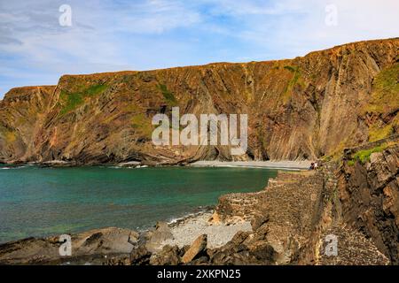 Die dramatischen, gefalteten Gesteinsschichten aus Lehmsteinen und Sandsteinen am Hartland Quay auf dem SW Coast Footpath in Devon, England, Großbritannien Stockfoto