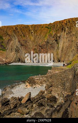 Die dramatischen, gefalteten Gesteinsschichten aus Lehmsteinen und Sandsteinen am Hartland Quay auf dem SW Coast Footpath in Devon, England, Großbritannien Stockfoto