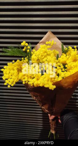 Eine Hand, die einen Blumenstrauß aus Mimosa in braunem Papier hält Stockfoto