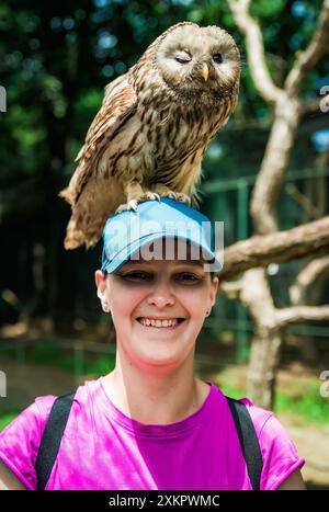 Porträt einer lachenden 36-jährigen russischen Frau mit Ural-Eulen (Strix uralensis) auf dem Kopf sitzendem Vogel Stockfoto