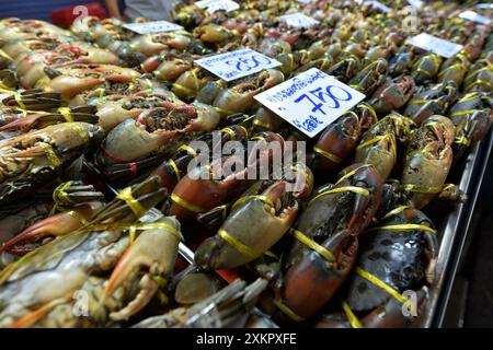 Bangkok, Thailand. Juli 2024. Krabben werden am 24. Juli 2024 auf einem Lebensmittelmarkt in Bangkok, Thailand, ausgestellt. Quelle: Rachen Sageamsak/Xinhua/Alamy Live News Stockfoto