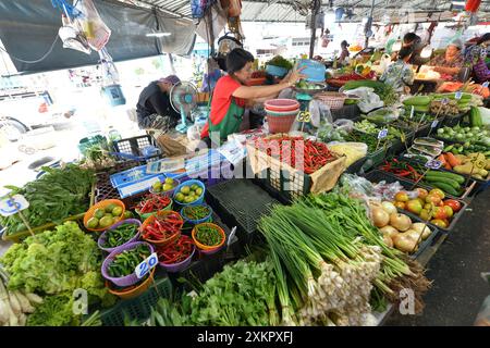 Bangkok, Thailand. Juli 2024. Gemüse wird am 24. Juli 2024 auf einem Lebensmittelmarkt in Bangkok, Thailand, ausgestellt. Quelle: Rachen Sageamsak/Xinhua/Alamy Live News Stockfoto