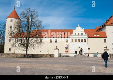 Schloss Freudenstein, Freiberg, Landkreis Mittelsachsen, Sachsen, Deutschland Stockfoto