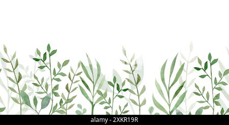 Nahtlose Aquarellgrenze mit grünen Pflanzen auf weißem Hintergrund. Stockfoto