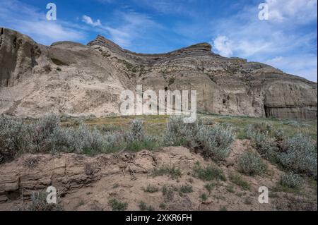 Sagebrush und Castle Butte im Big Muddy Valley, Saskatchewan, Kanada Stockfoto
