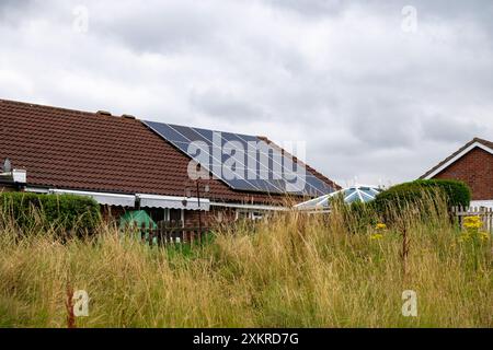 Solarpaneele auf dem rot gekachelten Dach eines Bungalows, von einem mit langem Gras bewachsenen Ödland aus gesehen. Stockfoto