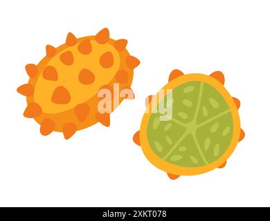 Exotische Melonen-Kiwano mit Hörnern. Tropische Früchte mit ihrer charakteristischen, stacheligen Orangenschale und ihrem hellgrünen Fruchtfleisch. Süße, leckere Pflanze mit Stacheln. Vektorillust Stock Vektor