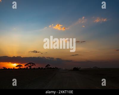 Panorama des Amboseli Amboseli Nationalparks bei Sonnenuntergang. Kenia, Afrika. Oktober 2022 Stockfoto