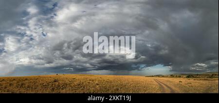 Riesige Regenwolken über der Savanne des Masai Mara National Reserve. Masai Mara und lokal einfach als Mara bekannt, Kenia, Afrika Stockfoto