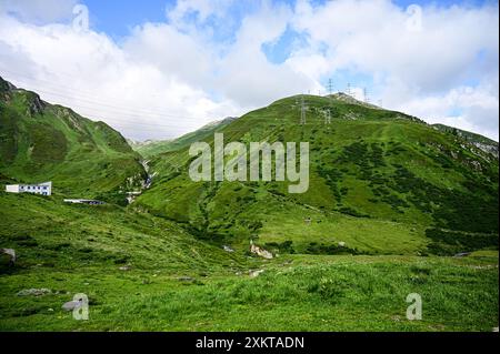 Sommerzeit in den Schweizer Alpen. Eine schöne und friedliche Naturlandschaft im Kanton Wallis nahe dem Nufenpass, Schweiz, Europa Stockfoto